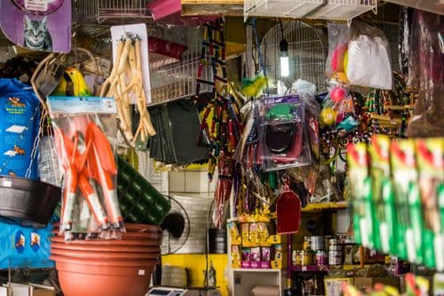 Pet Supplies category